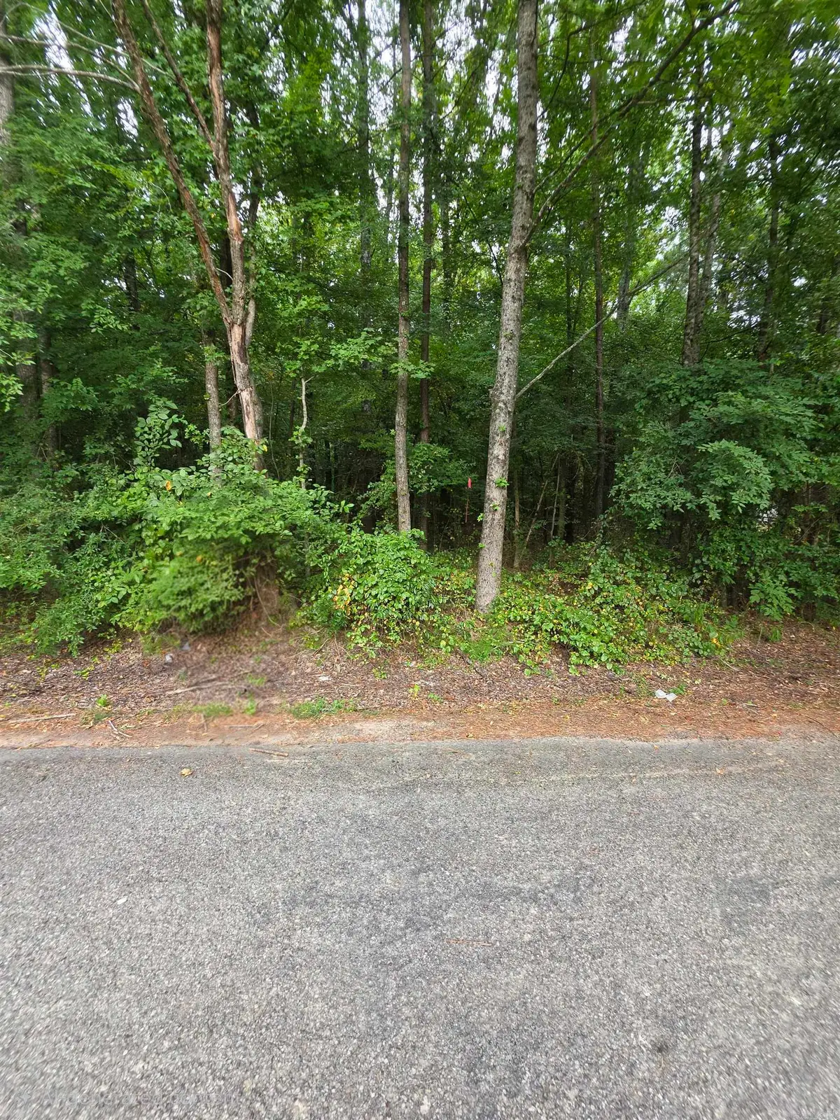 Lot 13 Doniphan, Kensett, AR 72082 - #1