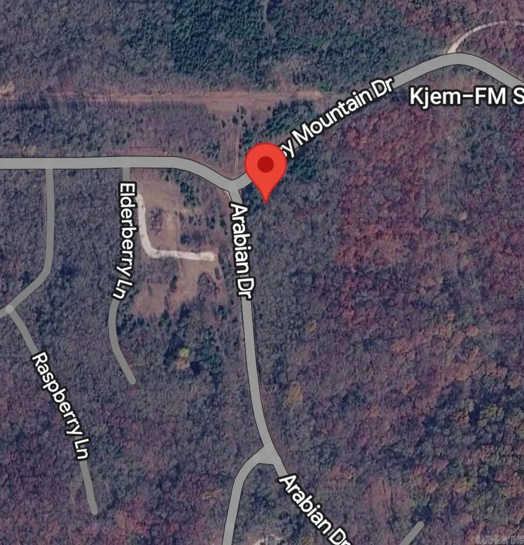 Lot 313-314 Arabian Drive, Rogers, AR 72756 - #1