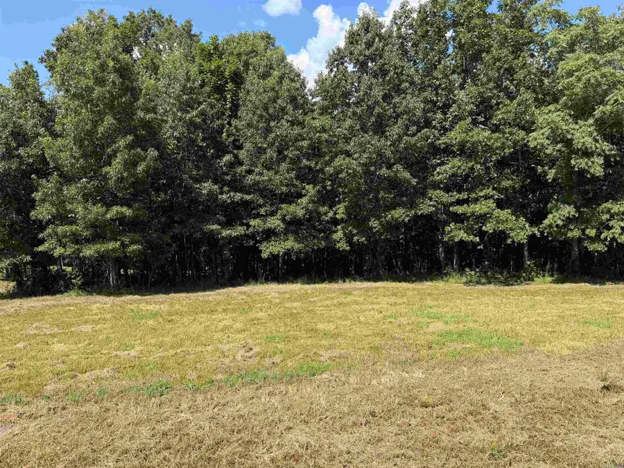 000 Caddy Cove Ln. Lot 34, Mountain View, AR 72560 - #2