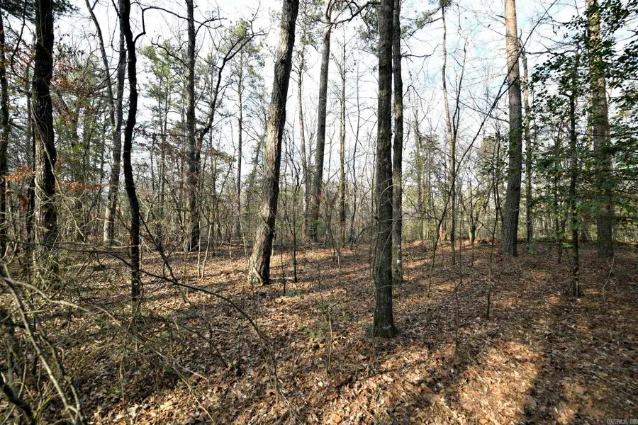 Tract 2 Polk Road 95, Mena, AR 71953 - #3