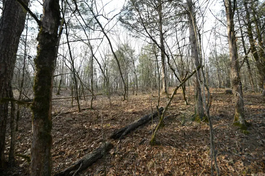 Tract 3 Polk Road 95, Mena, AR 71953 - #2