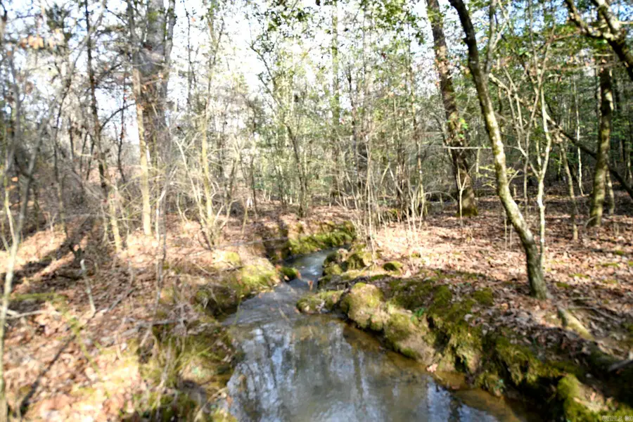 Tract 3 Polk Road 95, Mena, AR 71953 - #3