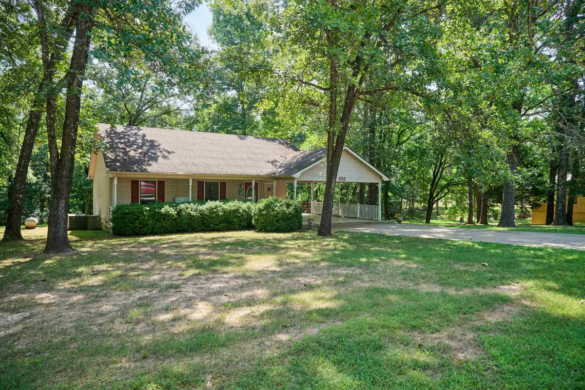 102 Hebron, Hardy, AR 72542 - #1