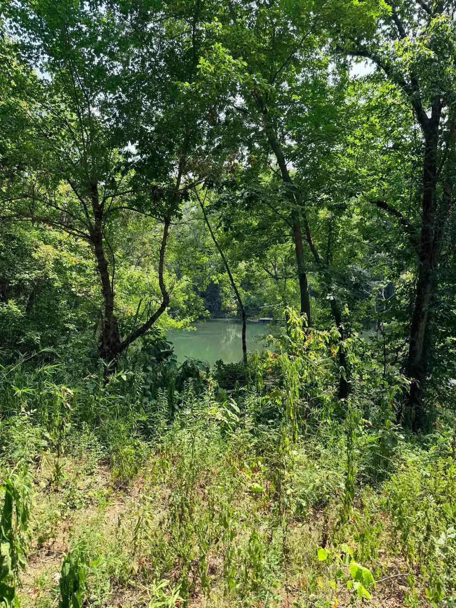 104 Adams Drive, Pangburn, AR 72121 - #2