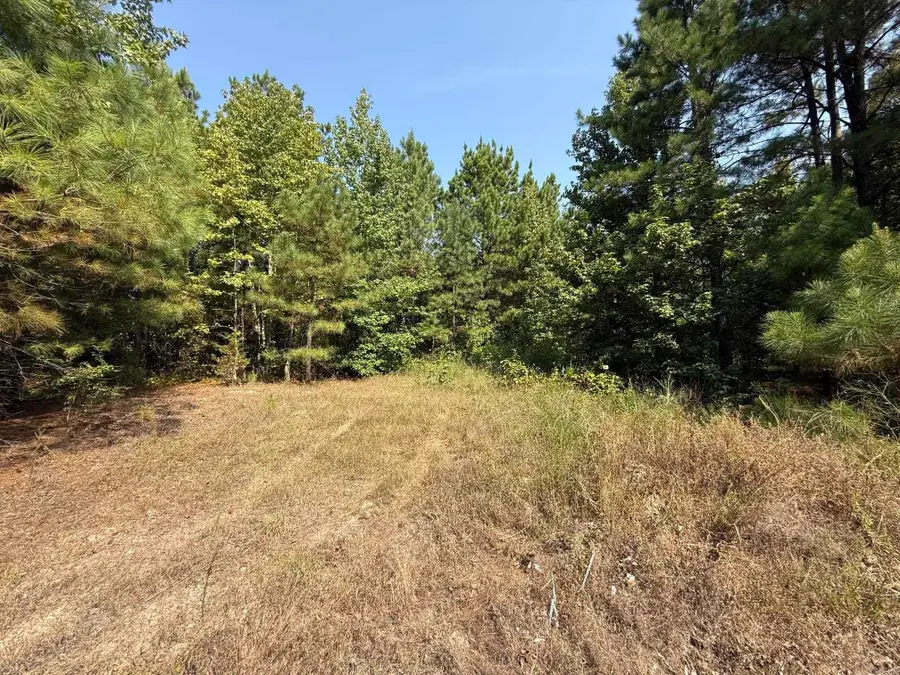 282 Fabre Place, Bonnerdale, AR 71933 - #2