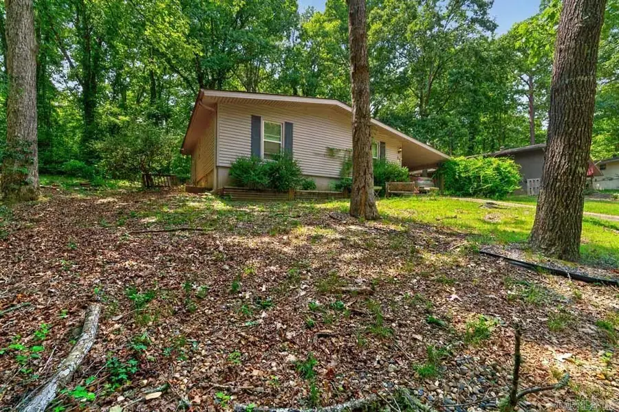37 Arias Way, Hot Springs Village, AR 71909 - #3