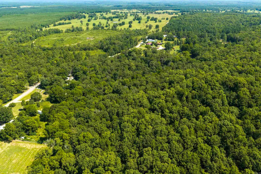 2114 Narrows Road, Benton, AR 72019 - #2