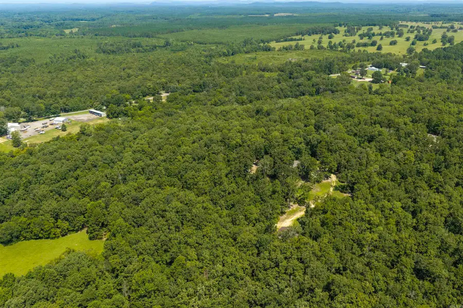 2114 Narrows Road, Benton, AR 72019 - #3