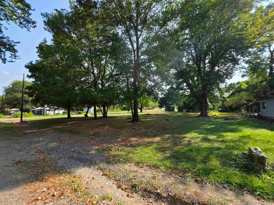 Unk Oak Ave & 3rd, Mena, AR 71953 - #3