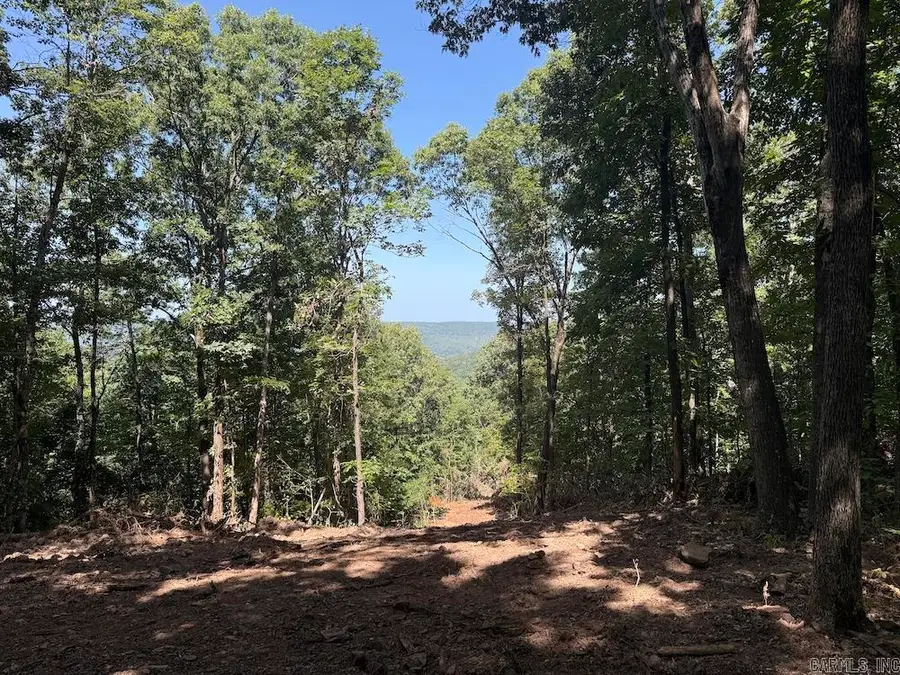 Cr 959, Hickory, AR 72638 - #2