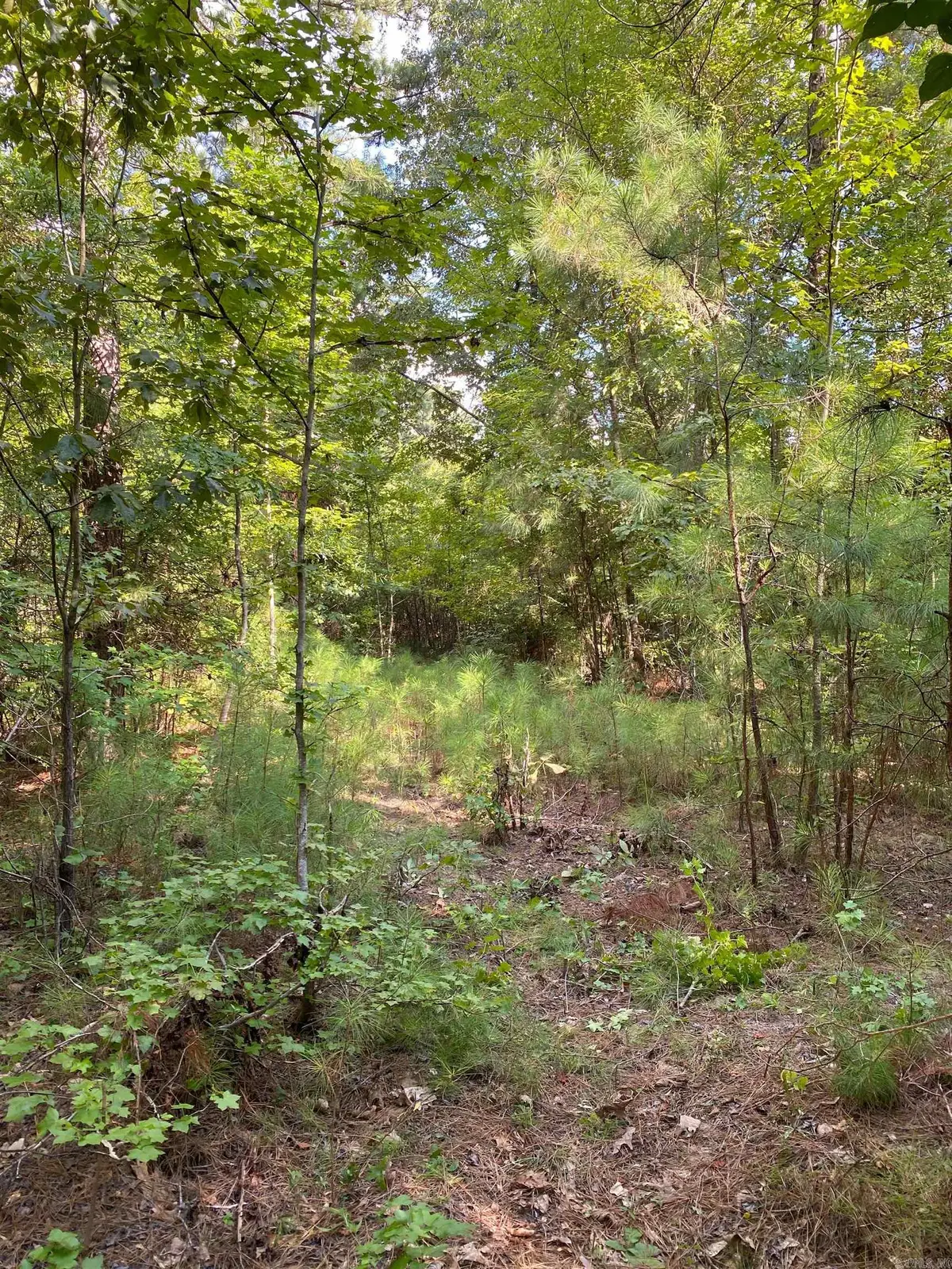TBD Ouachita 51, Camden, AR 71701 - #1
