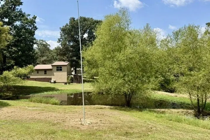 95 Crenshaw Road, Pocahontas, AR 72455 - #1