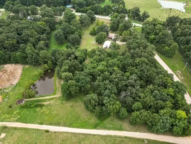 95 Crenshaw Road, Pocahontas, AR 72455 - #3