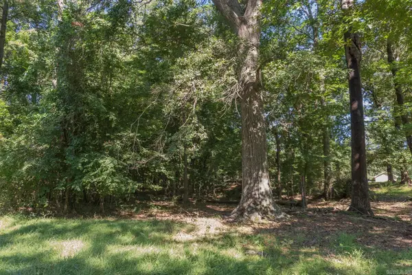 TBD North Park Drive, Arkadelphia, AR 71923