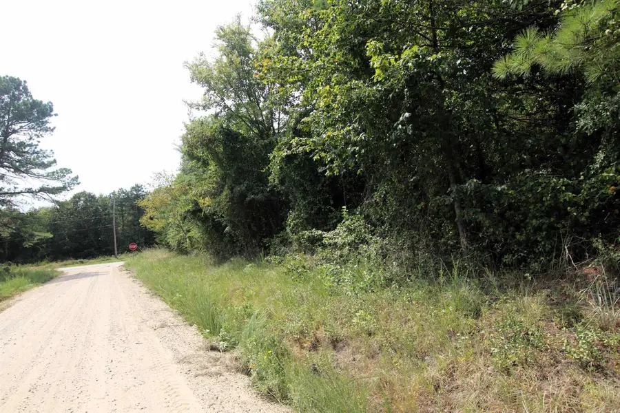 000 Ar 95 Highway, Hattieville, AR 72063 - #2