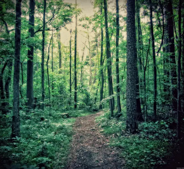 LOT 2 AND 3 Lost Valley Drive, Greenbrier, AR 72058