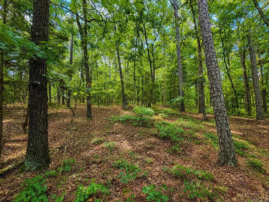 R1 Lakewood Dr, Edgemont, AR 72044 - #3