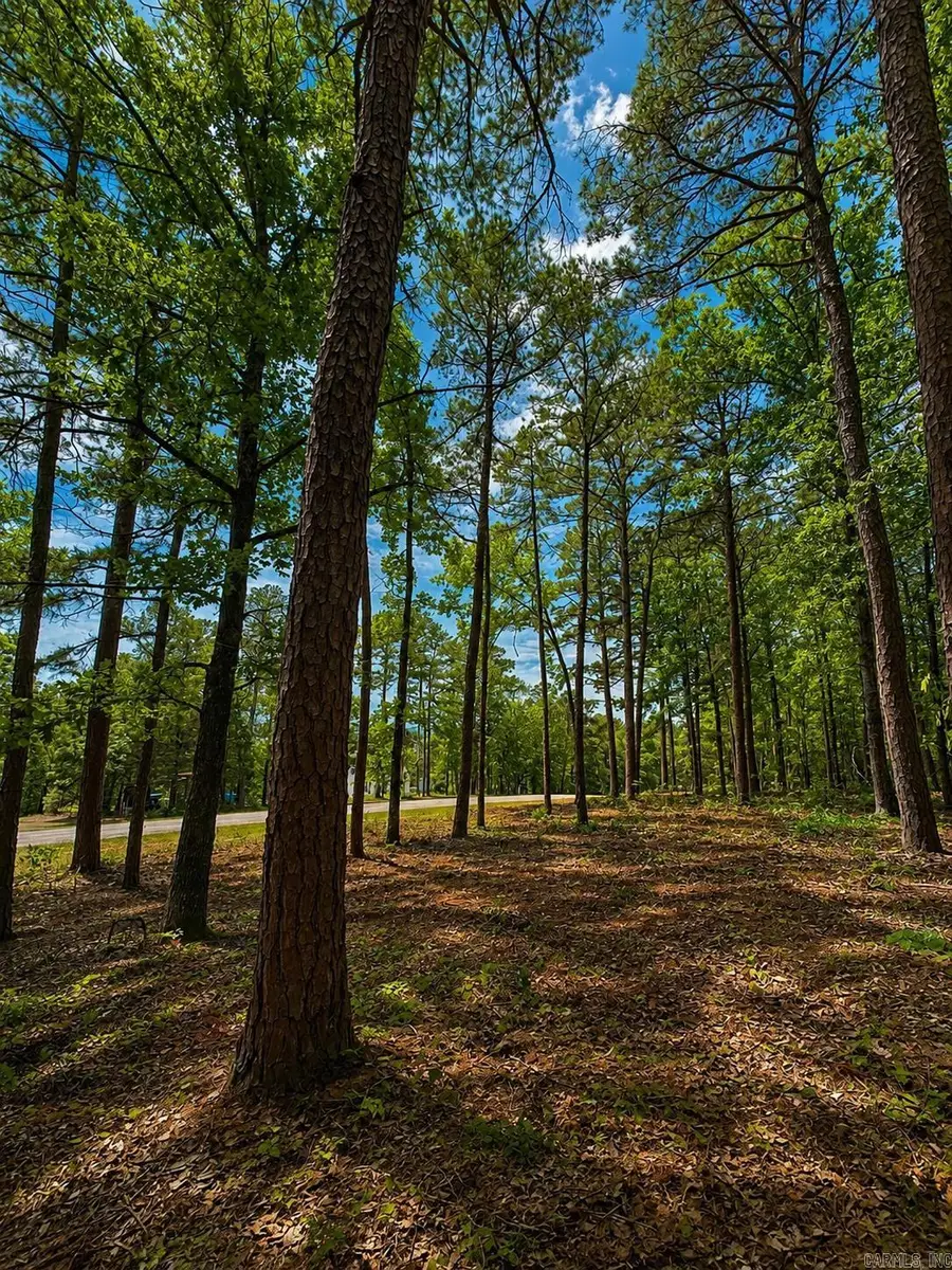 R4 Lakewood Dr, Edgemont, AR 72044 - #2