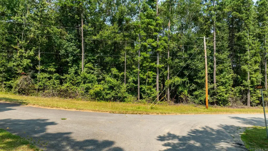 TBD Sarlo Dr, Mabelvale, AR 72103 - #2