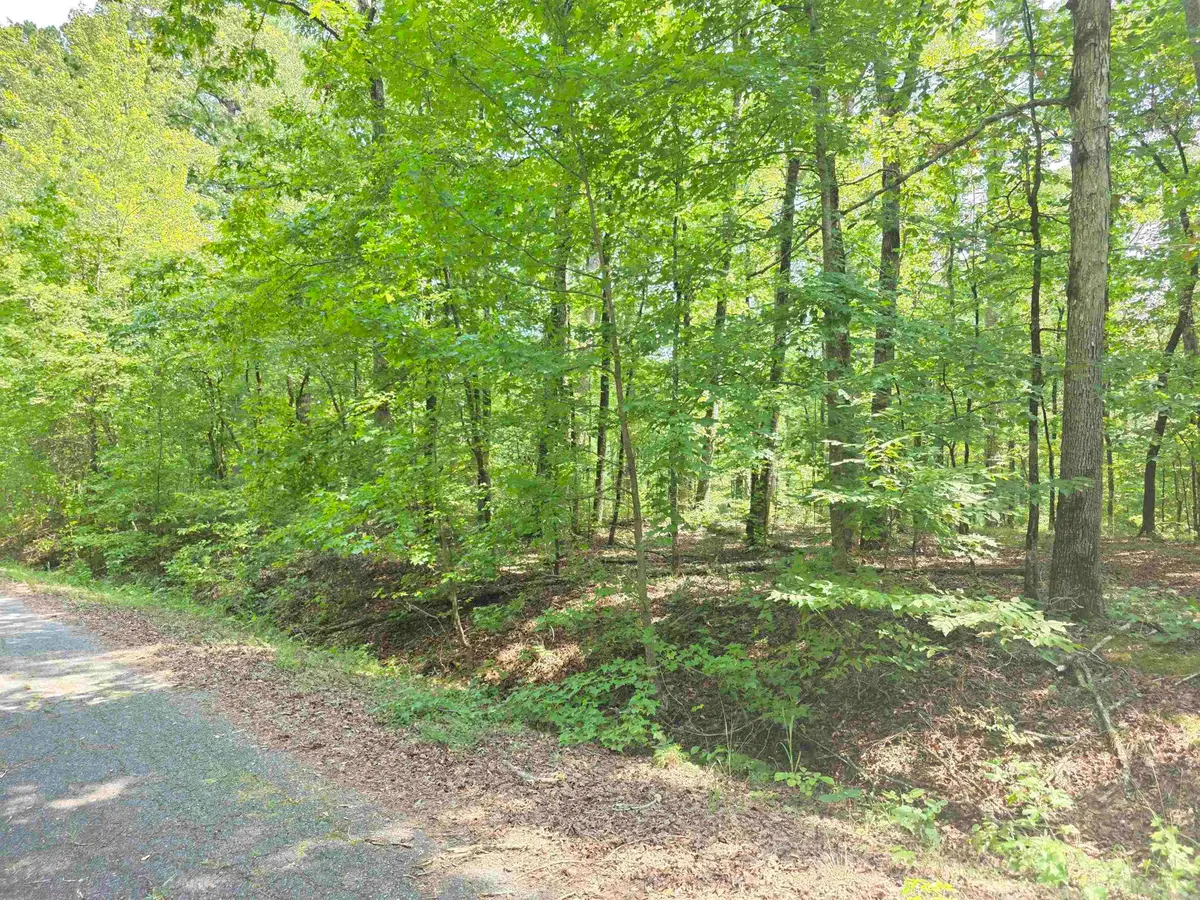 153 Raso Way, Hot Springs Village, AR 71909 - #1