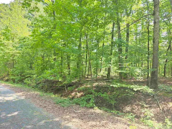 153 Raso Way, Hot Springs Village, AR 71909
