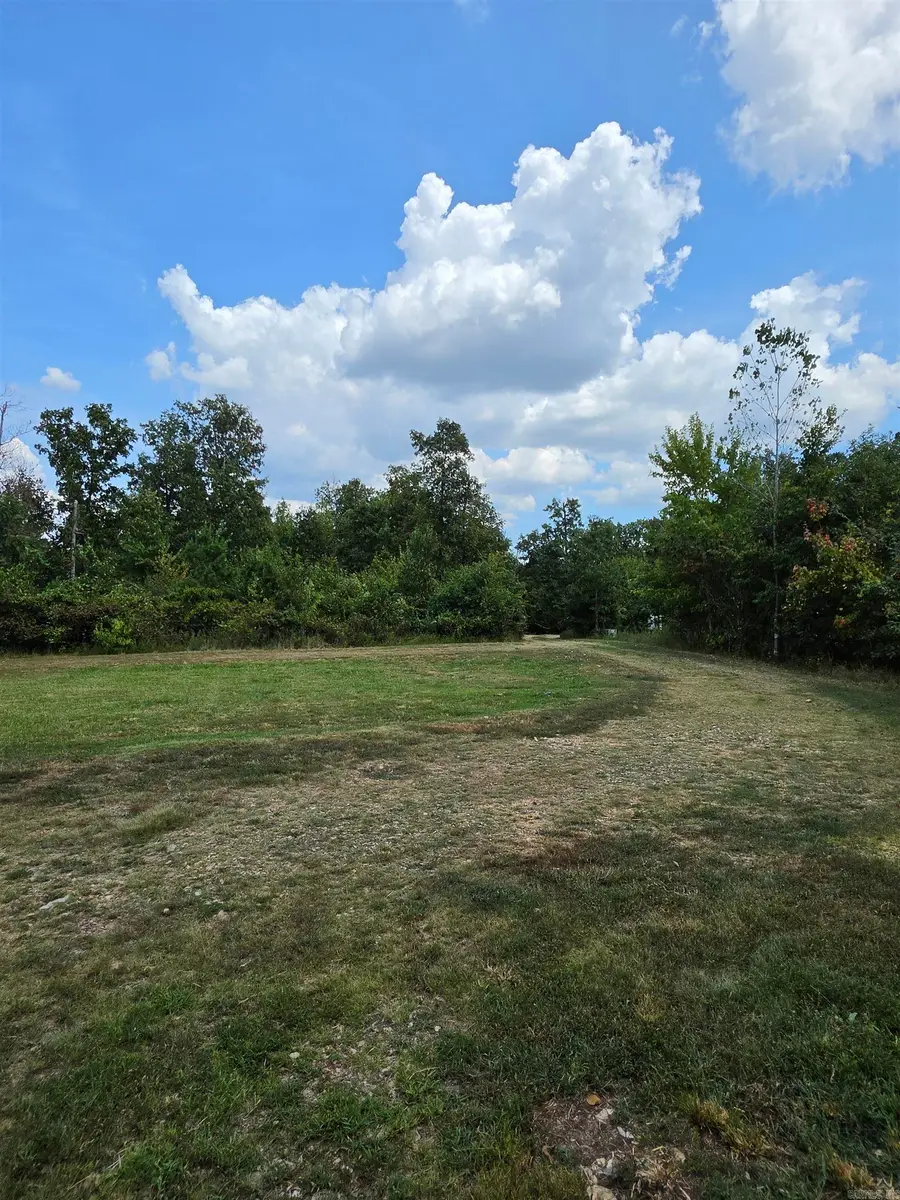 100 Fischer Drive, Mountain View, AR 72560 - #2