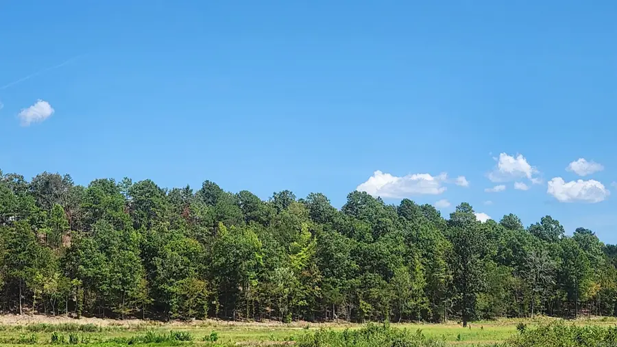 Tract B Lot 15N Reva's Way, Story, AR 71970 - #2
