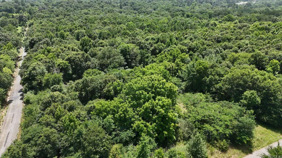 TBD Polk Road 283, Hatfield, AR 71945 - #2