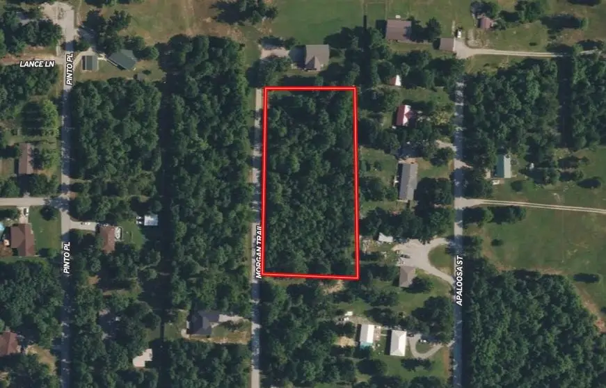 TBD Morgan Trl, Salem, AR 72576 - #2