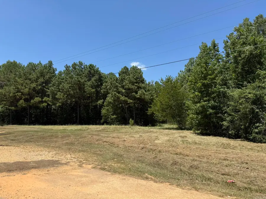 TBD Frisco Drive, Nashville, AR 71852 - #2