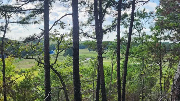 Lot 15N Tract A Reva's Way, Story, AR 71970