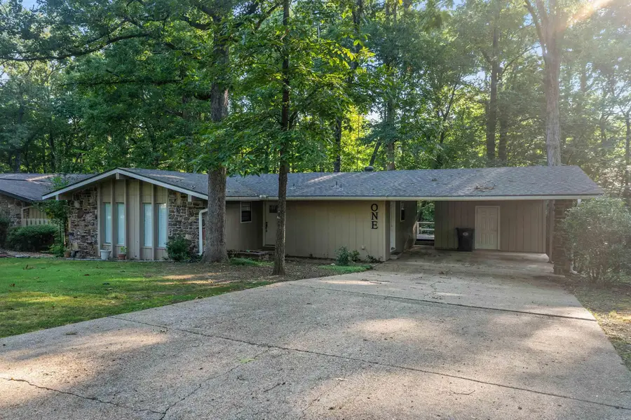 1 Torres Place, Hot Springs Village, AR 71909 - #2