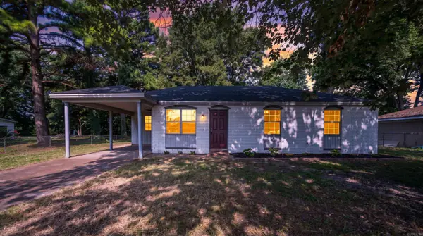 1317 Cindy Lane, Diaz, AR 72112