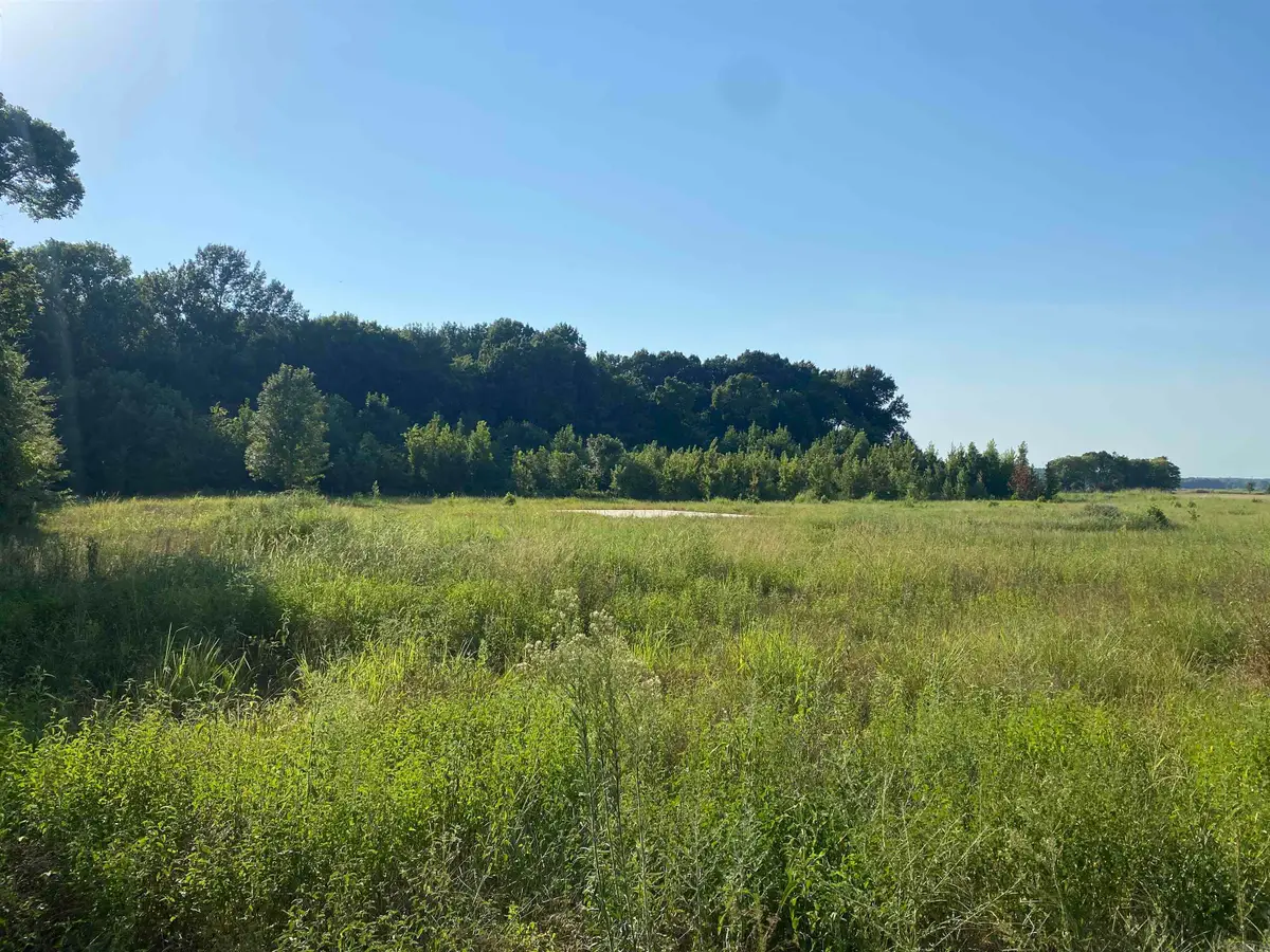 13 Mcguiness Road, Trumann, AR 72472 - #1