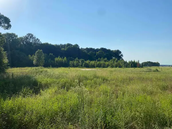 13 Mcguiness Road, Trumann, AR 72472