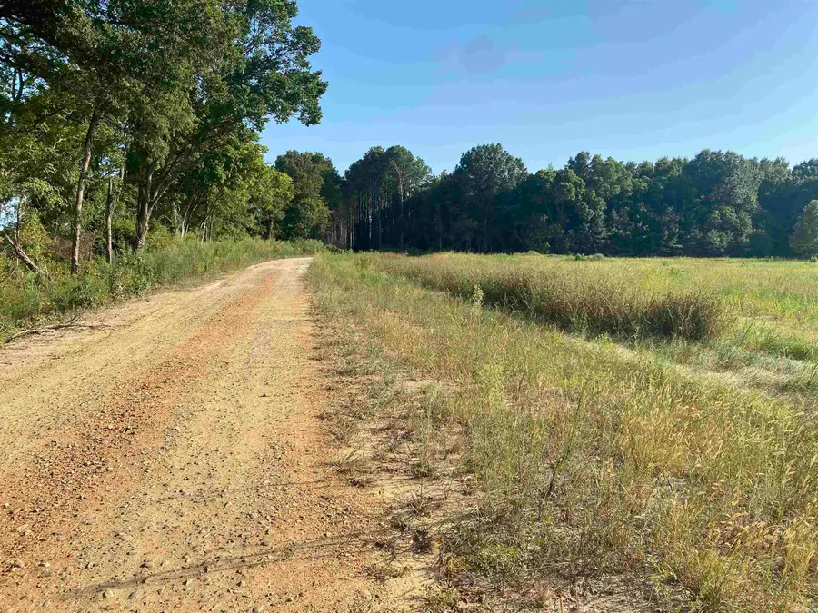 13 Mcguiness Road, Trumann, AR 72472 - #2