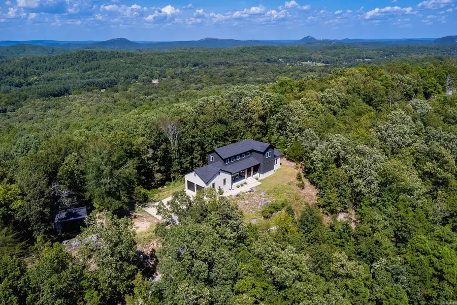 4 Gray Hawk Drive, Paron, AR 72122 - #3