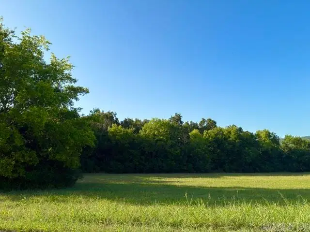131 Osage Avenue, Mountain View, AR 72560 - #1