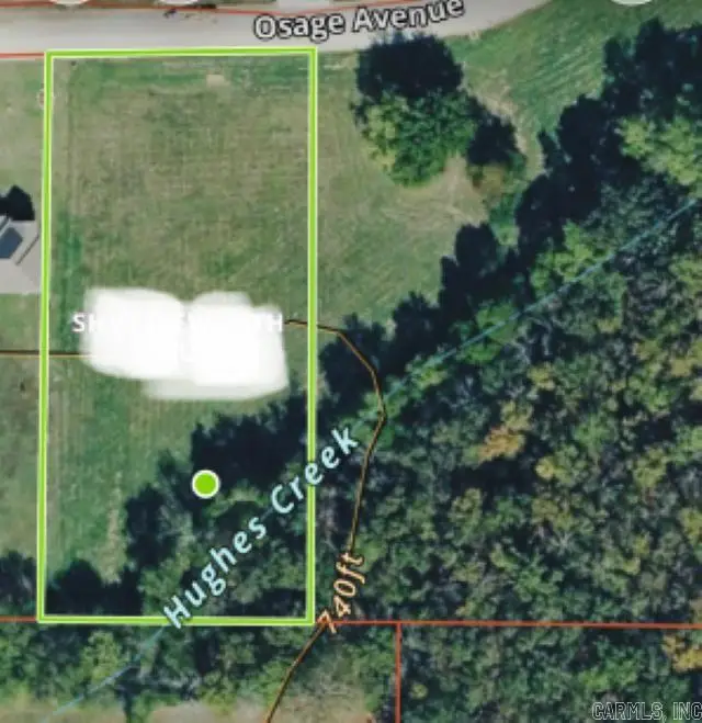 131 Osage Avenue, Mountain View, AR 72560 - #3