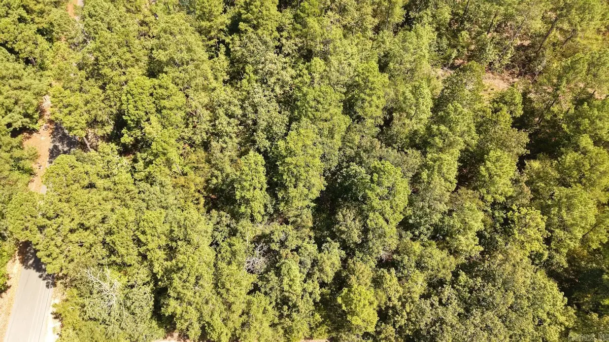 0 Gold Nugget Loop, Hot Springs, AR 71913 - #1