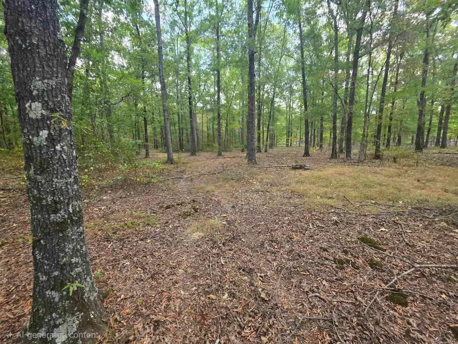6532 Sayles Road, Jacksonville, AR 72076 - #3