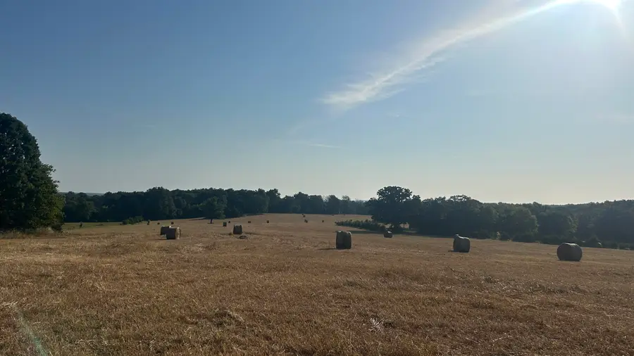 TBD S Corinth Roads, Ash Flat, AR 72513 - #2