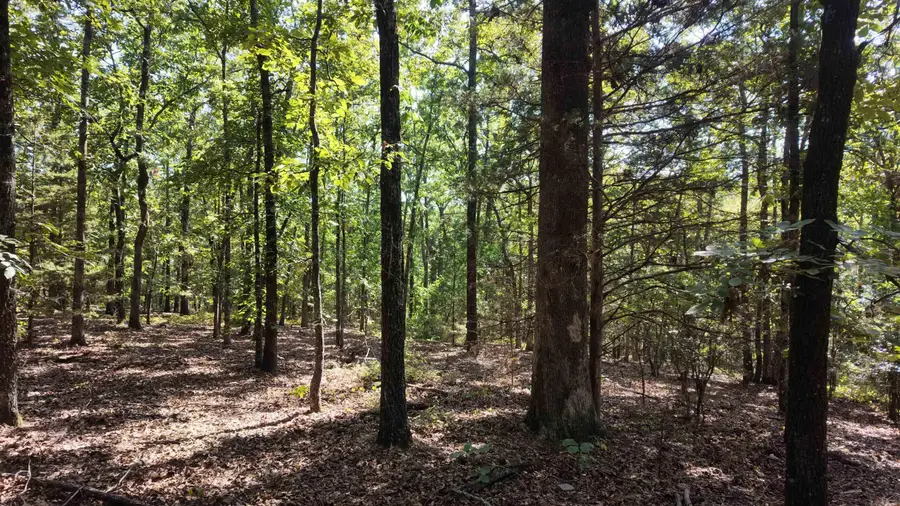 Address Withheld By Seller, Bee Branch, AR 72013 - #3