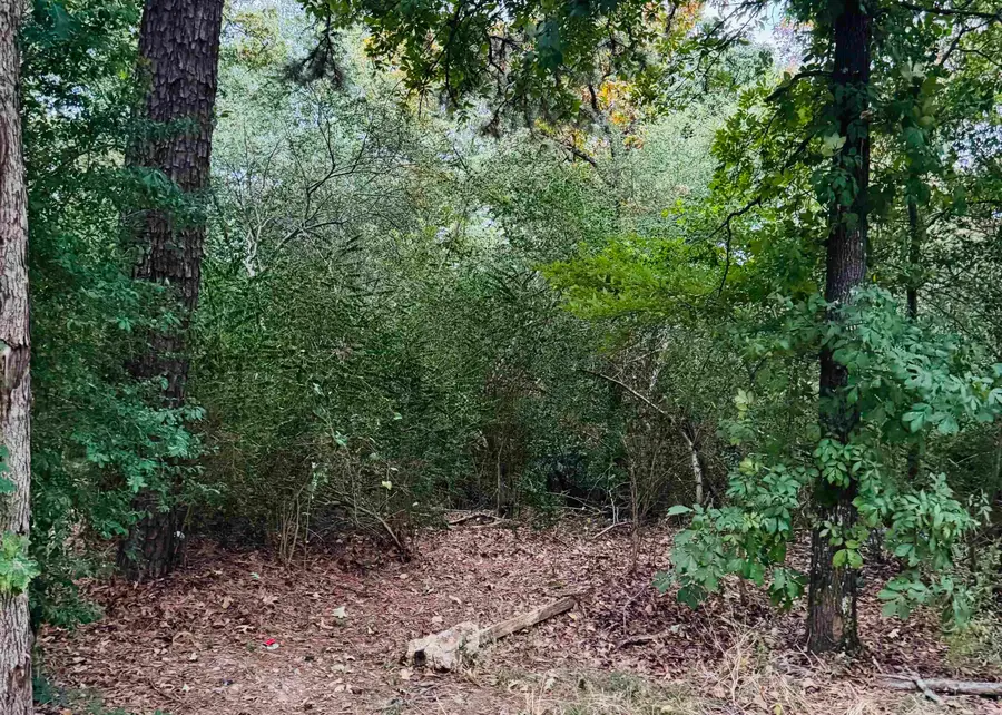 Lot 26 Lee Summit Dr., Little Rock, AR 72202 - #3