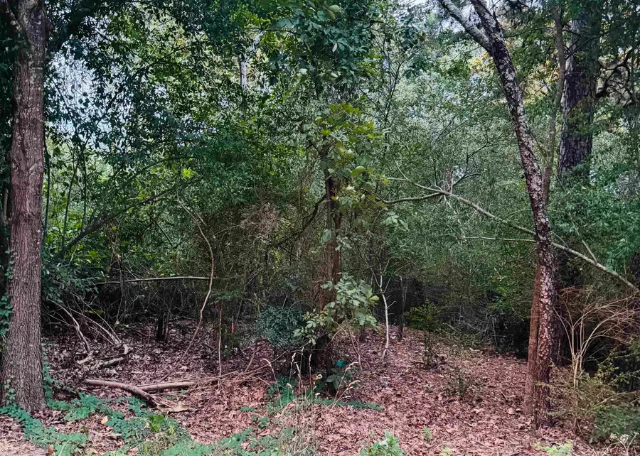 Lot 25 Lee Summit Dr., Little Rock, AR 72202 - #3