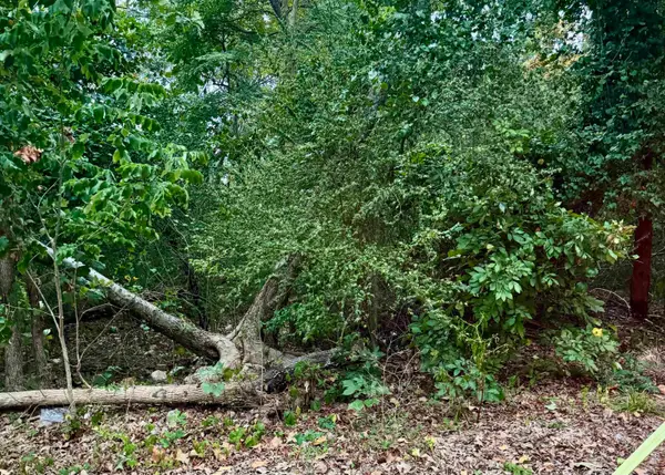 Lot 24 Lee Summit Dr., Little Rock, AR 72202