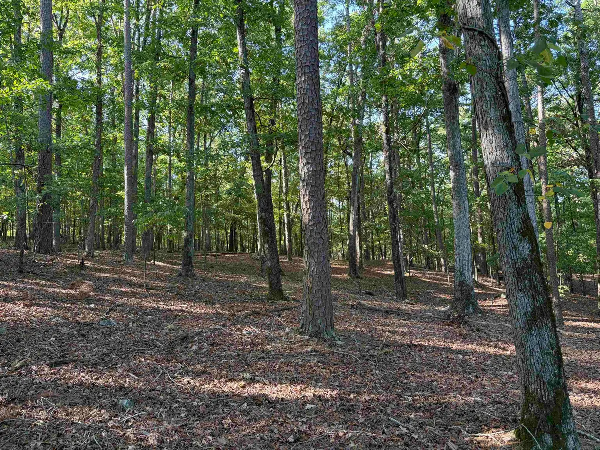 12 Southridge Drive, Mount Ida, AR 71957 - #1