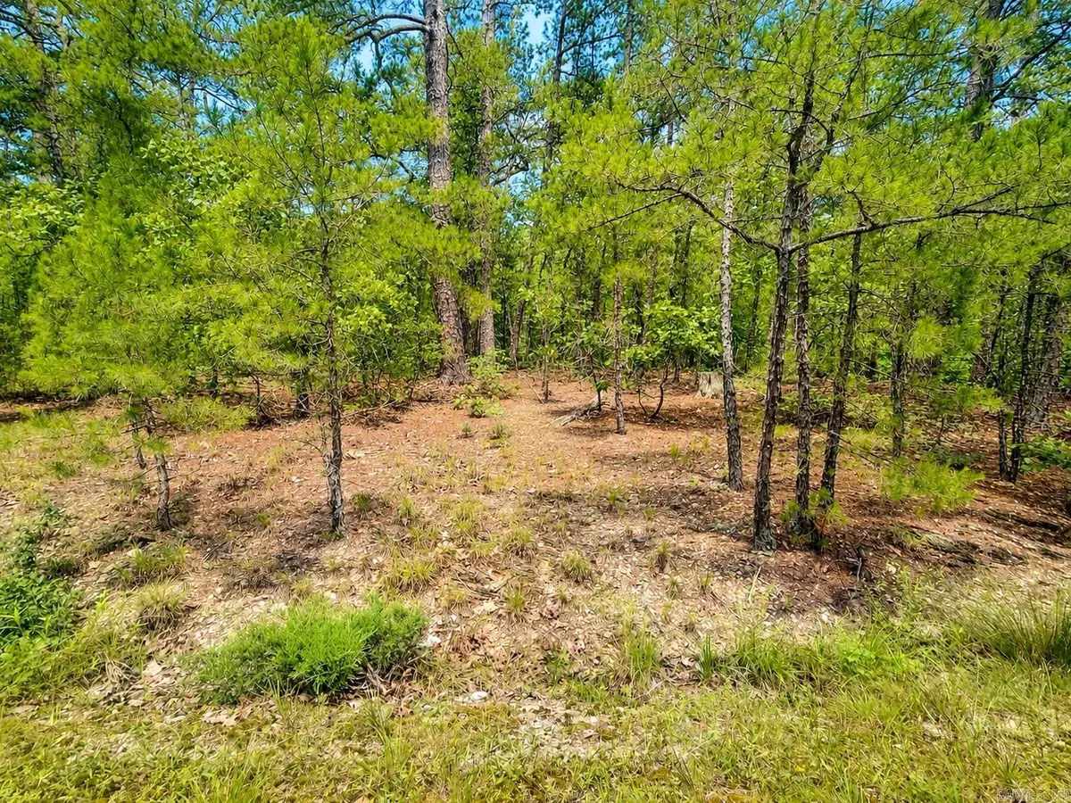 6 Calahorra Circle, Hot Springs Village, AR 71909 - #1