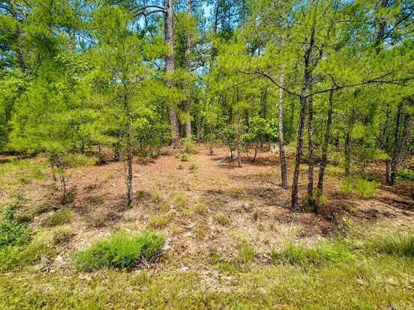 6 Calahorra Circle, Hot Springs Village, AR 71909