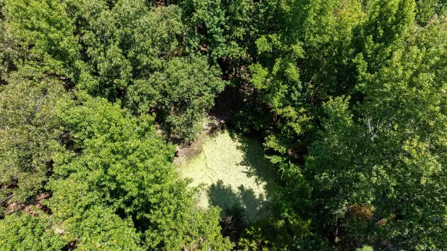 161 E Hopewell Rd, Cord, AR 72524 - #3